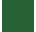 RAL 6002 